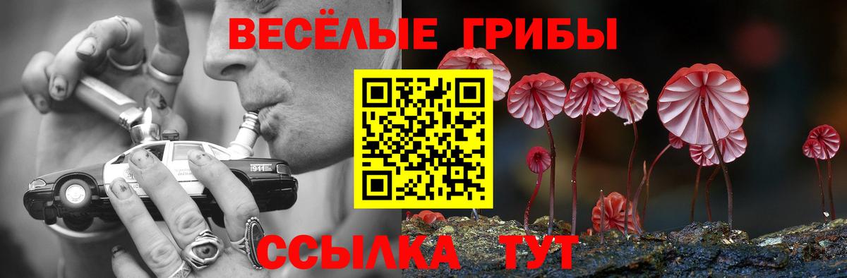 Люберцы  Псилоцибиновые грибы Psilocybine cubensis  Вход с VPN 